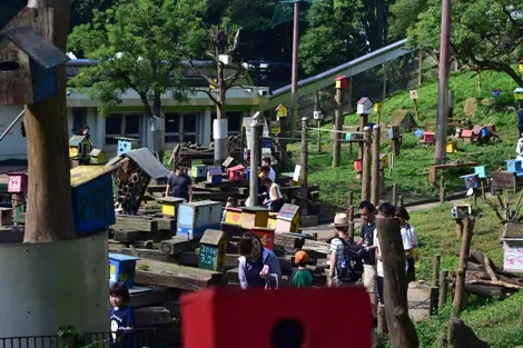 Machida machida