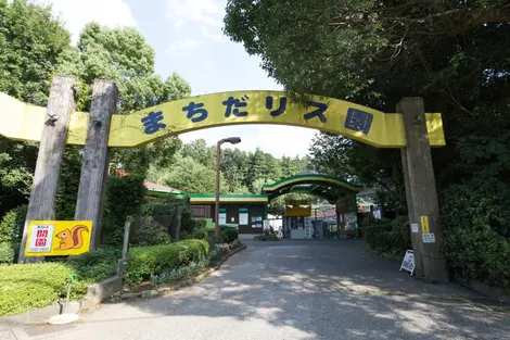 Machida machida
