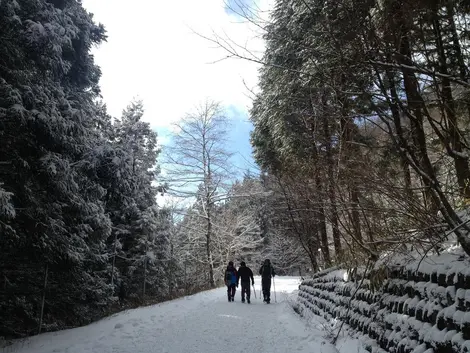 Les chemins pédestres offrent de très beaux paysages tout au long de la randonnée Les chemins pédestres offrent de très beaux paysages tout au long de la randonnée
