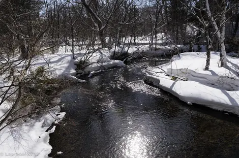 Remonter le cours de l'eau permet de découvrir des paysages insoupçonnés Remonter le cours de l'eau permet de découvrir des paysages insoupçonnés