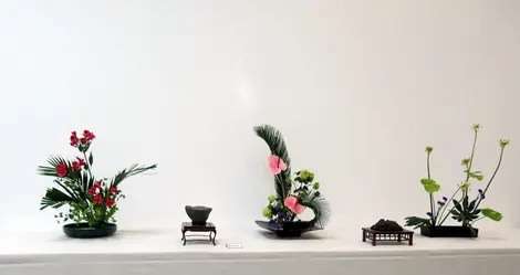 Exposition d'Ikebana Exposition d'Ikebana