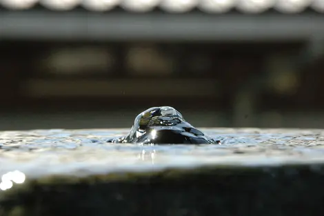 L'eau de source d'Ono