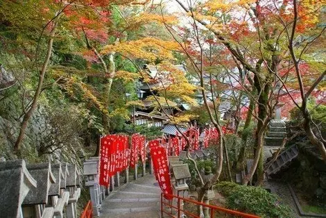 mont-shigi mont-shigi