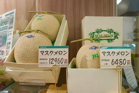 Melón cantalupo de lujo Melón cantalupo de lujo