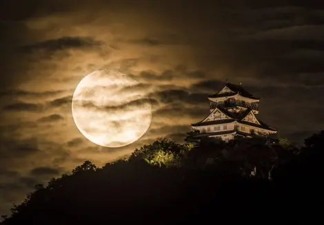 lune-chateau-gifu