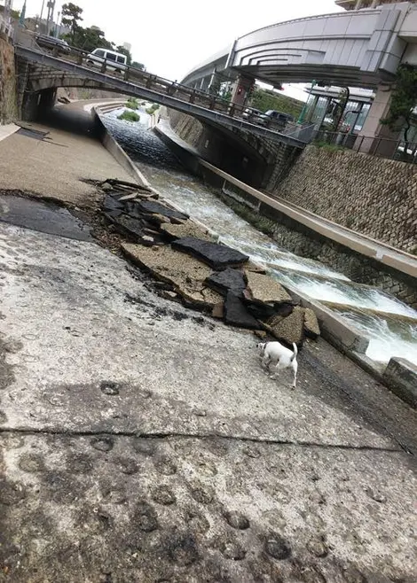 La promenade accidentée... La promenade accidentée...