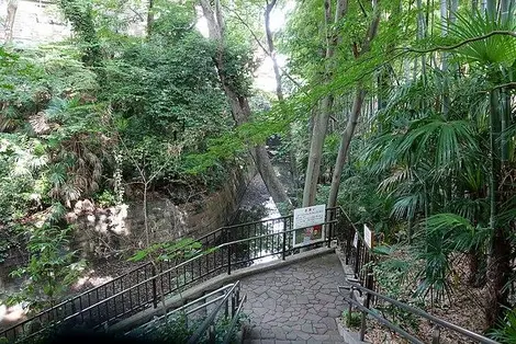 Vallée Todoroki Vallée Todoroki