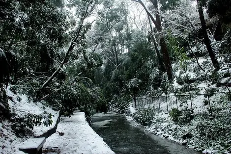 Vallée Todoroki Vallée Todoroki