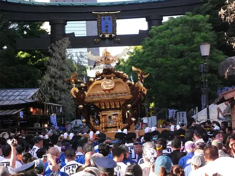 mikoshi-tomioka_hachimangu mikoshi-tomioka_hachimangu