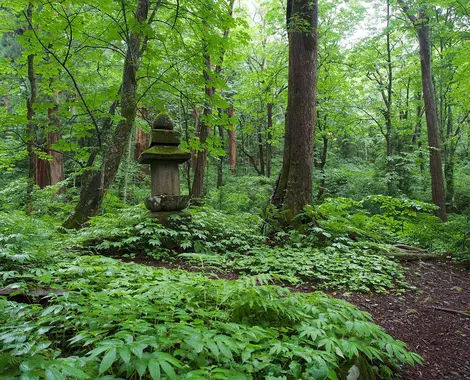 Sanctuaire au coeur de la nature