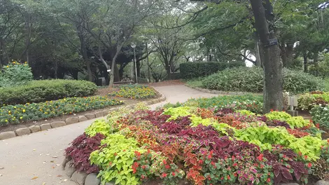 Le parc Asukayama Le parc Asukayama
