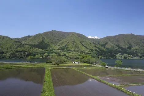 Rizières près du lac Kizaki Rizières près du lac Kizaki