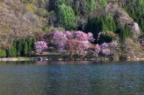 Le lac Nakatsuna au printemps Le lac Nakatsuna au printemps