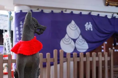 renard-chiyobo-inari-jinja renard-chiyobo-inari-jinja