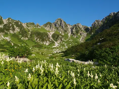 Mont Kisokoma en été