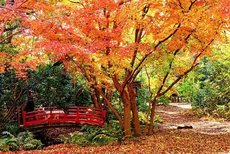 Vallée Todoroki Vallée Todoroki