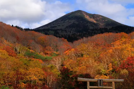 Le kôyô à Aomori Le kôyô à Aomori