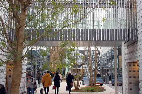 daikanyama daikanyama