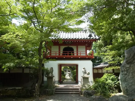 Touganji1 Touganji1