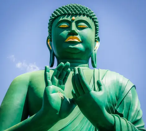 tete-daibutsu-nagoya tete-daibutsu-nagoya