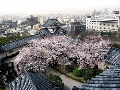 Château de Wakayama Château de Wakayama