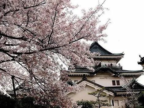Château de Wakayama Château de Wakayama