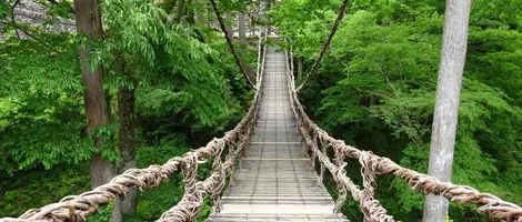 Traversée du pont de liane