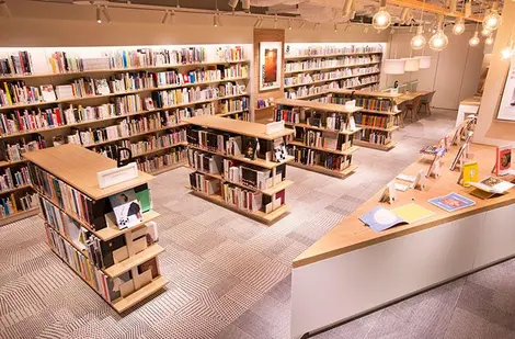 bibliotheque-admuseum bibliotheque-admuseum