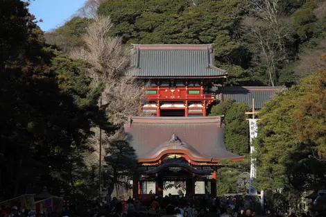 Sanctuaire Tsurugaoka Hachiman-gû Sanctuaire Tsurugaoka Hachiman-gû
