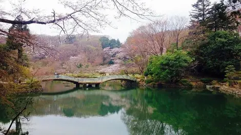 yakushiike yakushiike