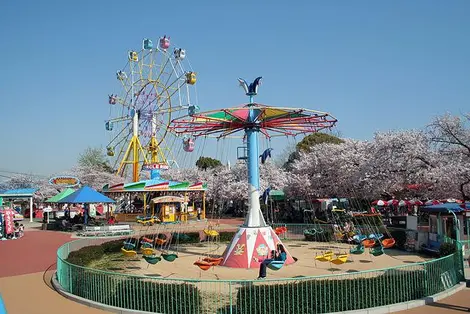 oji zoo oji zoo