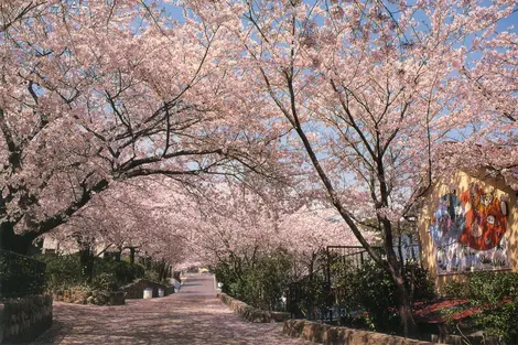 oji zoo oji zoo
