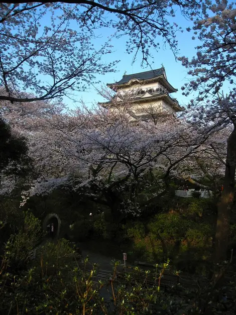 Le château d'Odawara Le château d'Odawara
