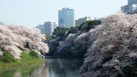 The moats of the Tokyo Imperial Palace The moats of the Tokyo Imperial Palace