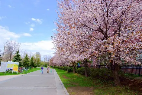 Parc Nakajima
