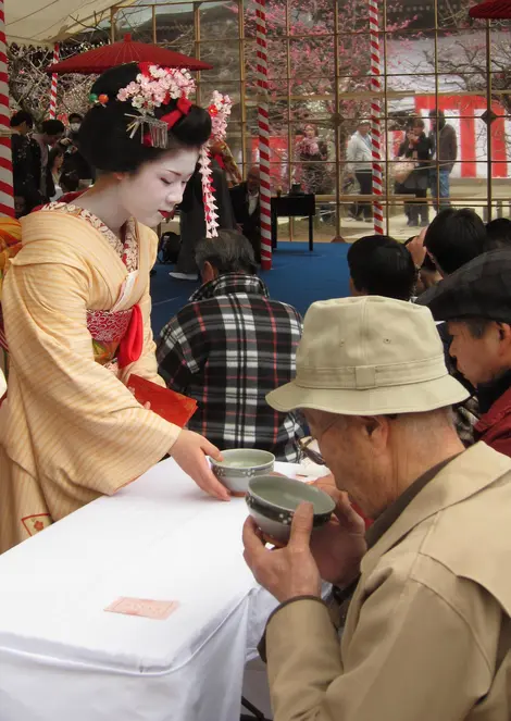 Cérémonie du thé servi par une maiko Cérémonie du thé servi par une maiko