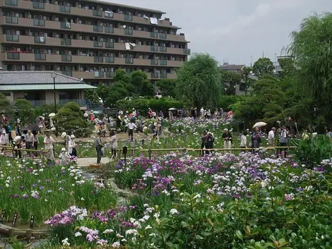 Le jardin Horikiri