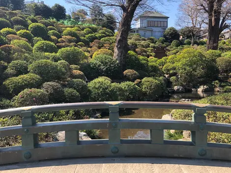 Sanctuaire Nezu Sanctuaire Nezu