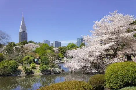 Shinjuku Gyoen National Garden