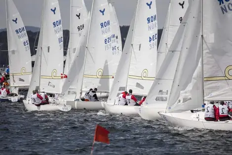 Compétition de voile