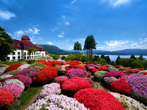 YAMANO-HOTEL [Hakone onsen]