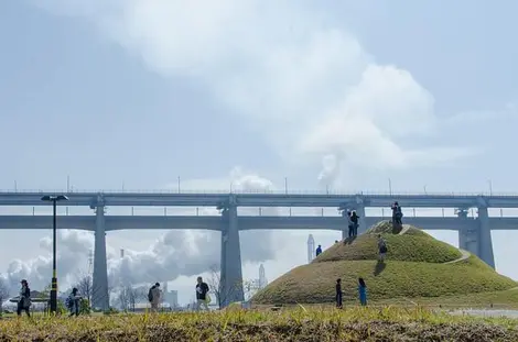 shamijima Shamijima