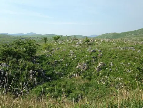Plaine du parc Akiyoshidai