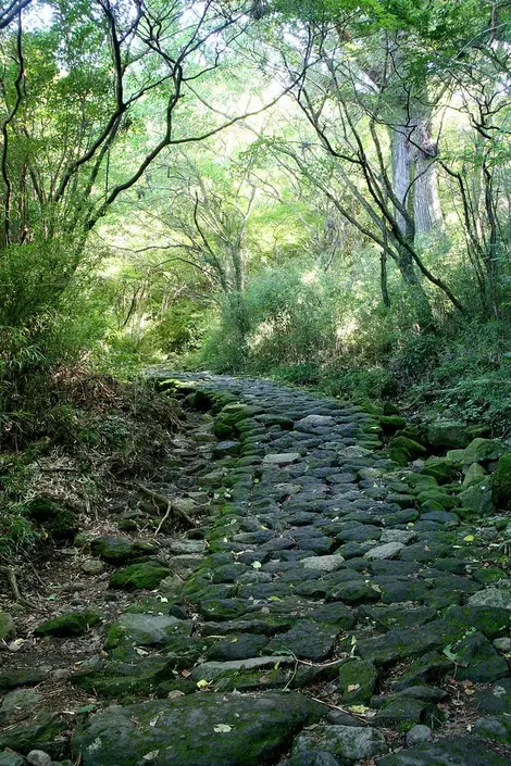 La route historique du Tôkaidô La route historique du Tôkaidô