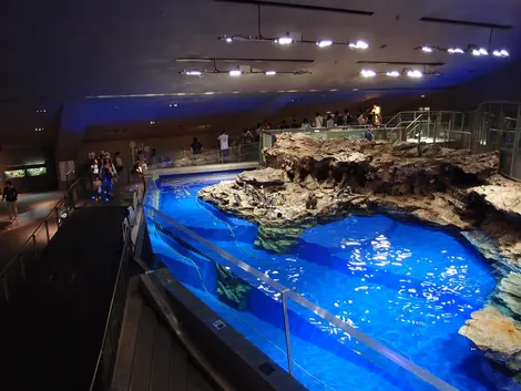 Aquarium Sumida Aquarium Sumida