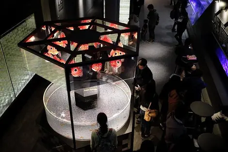 Aquarium Sumida Aquarium Sumida