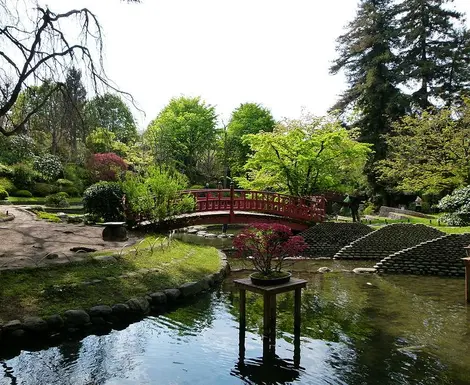 Les plus beaux jardins japonais à découvrir à Paris et aux