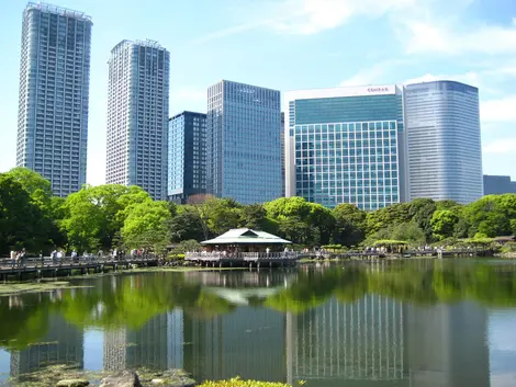 Le jardin Hamarikyu Le jardin Hamarikyu