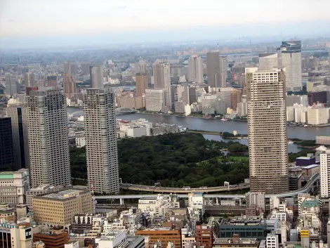 Le Jardin Hama-Rikyu