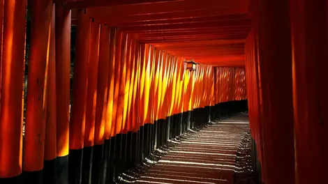 Fushimi Inari